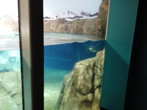 Golf Course «Swope Memorial Golf Course», reviews and photos, 6900 Swope Memorial Dr, Kansas City, MO 64132, USA