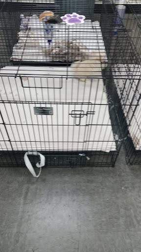 Pet Supply Store «Our Pet World», reviews and photos, 380 Semoran Commerce Pl, Apopka, FL 32703, USA