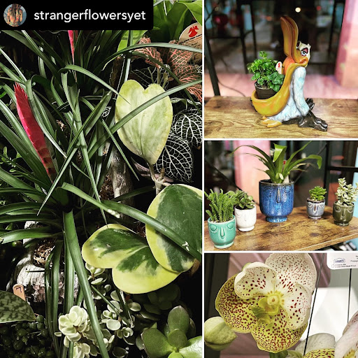 Explore bastet tattoo ideas, creative tattoo ideas in Ocala, available at The Tattoo Gallery of Ocala LLC