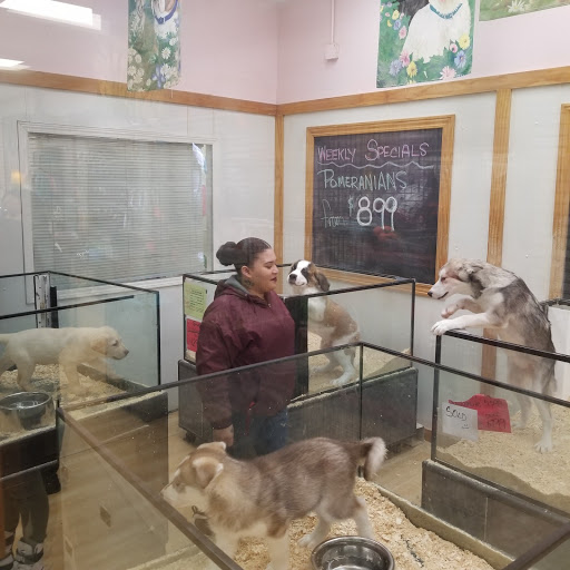 Pet Store «Pet Luv Pet Center», reviews and photos, 8057 S Cicero Ave, Chicago, IL 60652, USA