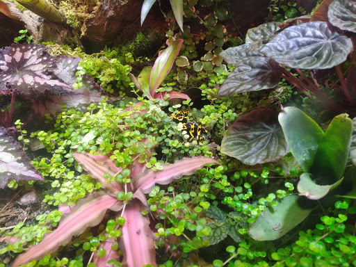 Pet Supply Store «Petco Animal Supplies», reviews and photos, 3680 Spencer Hwy, Pasadena, TX 77504, USA