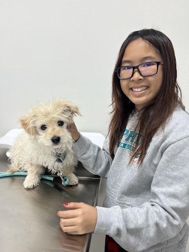 Animal Hospital of South Bay image