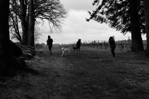 Winery «Coria Estates», reviews and photos, 8252 Redstone Ave SE, Salem, OR 97306, USA