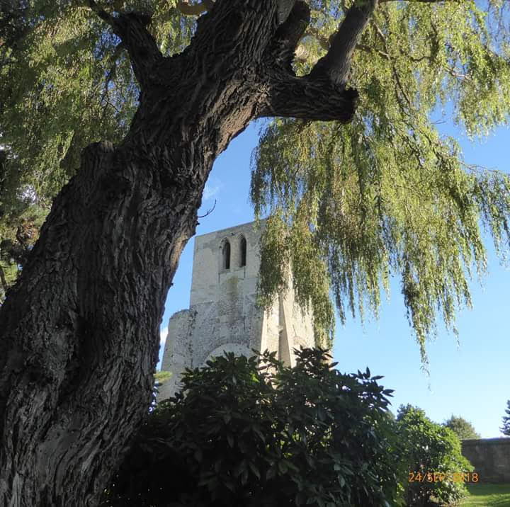 Photo n° 1 de l'avis de monique.u fait le 11/10/2018 à 15:18
