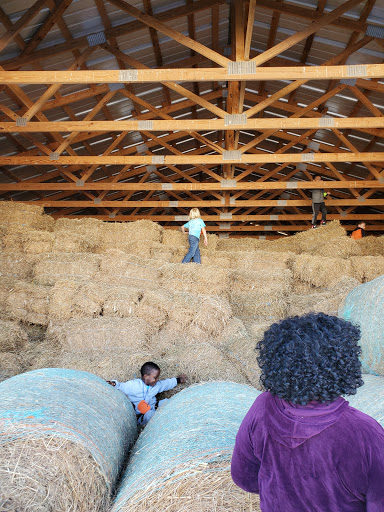 Farm «Bottom View Farm», reviews and photos, 185 Wilkerson Ln, Portland, TN 37148, USA