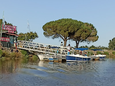 ecoplaisance du delta à Le Teich