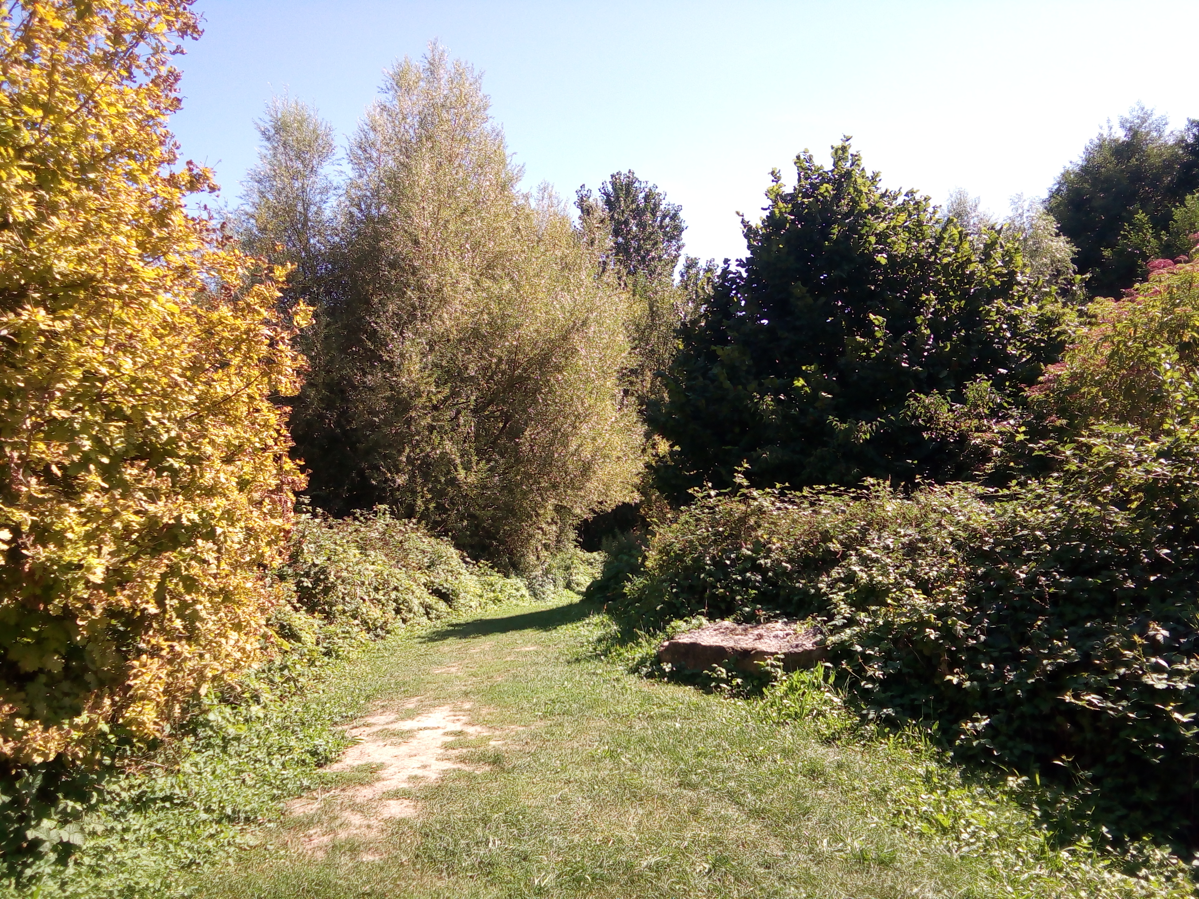 Photo n° 15 de l'avis de Angy.u fait le 30/08/2019 à 15:26