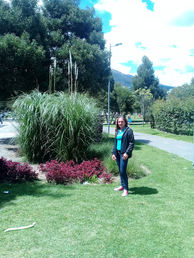 Landscapers Quito