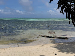 Palau East Beach'in fotoğrafı vahşi alan