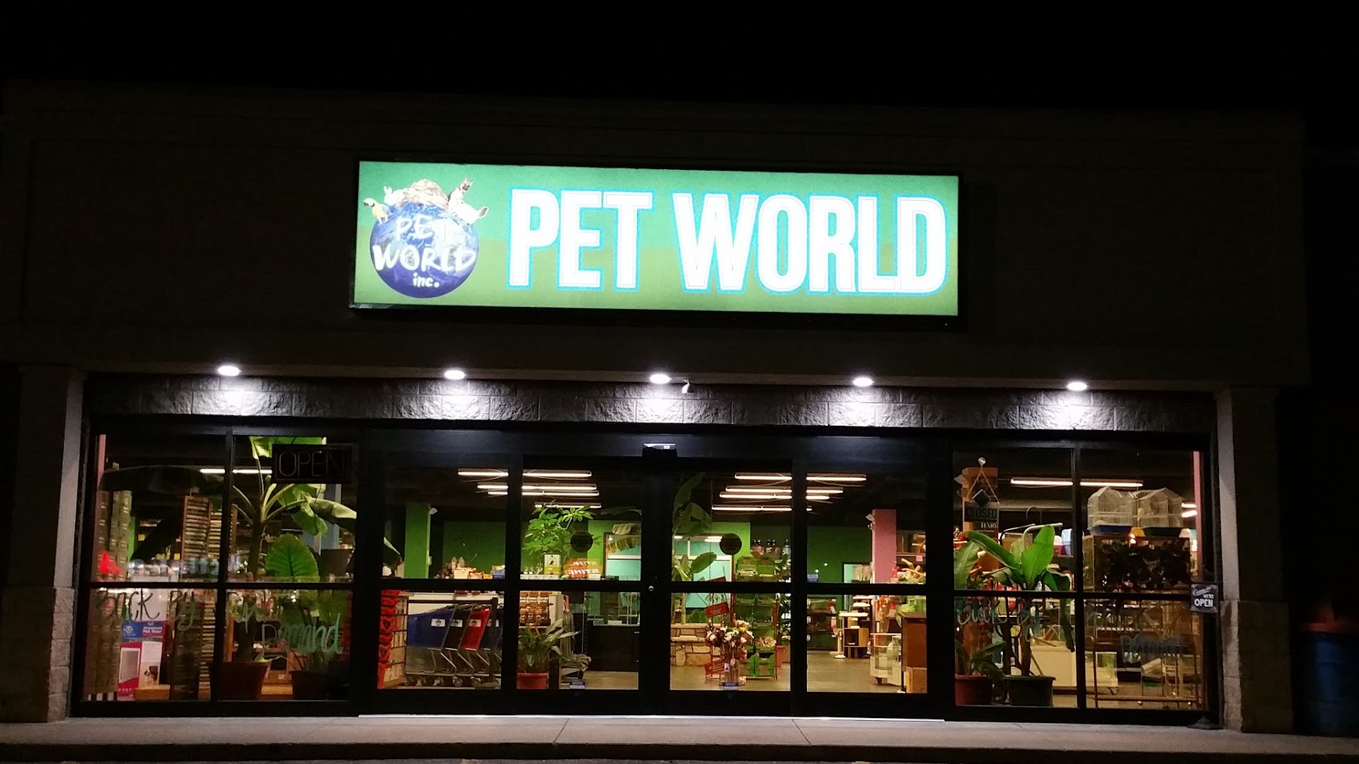 Pet World Experience