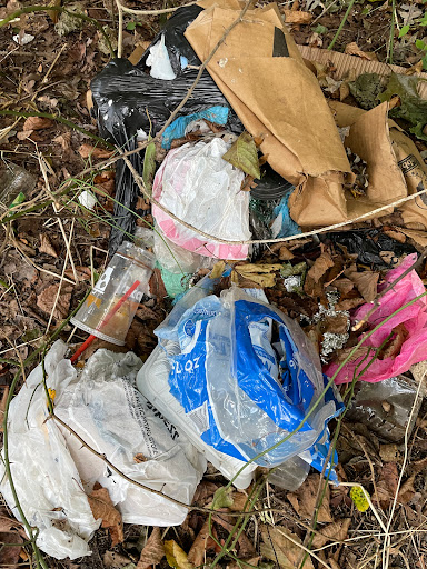 Nature Preserve «Brookside Preserve», reviews and photos, N Brookside Ave, Roosevelt, NY 11575, USA