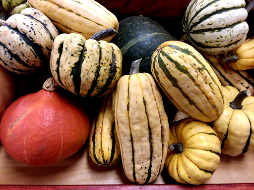 Health Food Store «Willimantic Food Co-Op», reviews and photos, 91 Valley St, Willimantic, CT 06226, USA