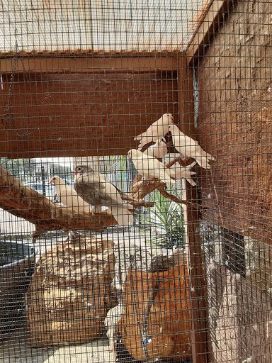 Pet Store «Fish-N-Pets Unlimited», reviews and photos, 11710 Bissonnet St, Houston, TX 77099, USA