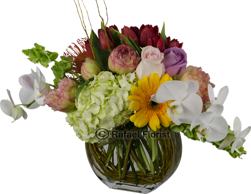 Florist «Rafael Florist», reviews and photos, 891 4th St, San Rafael, CA 94901, USA