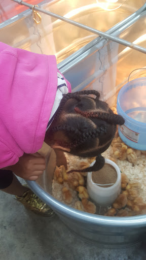 Department Store «Rural King», reviews and photos, 1141 Fort Campbell Blvd, Clarksville, TN 37042, USA