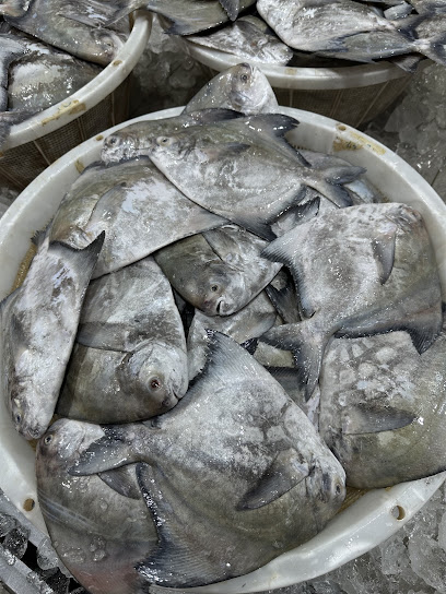 GM seafood wholesale supply