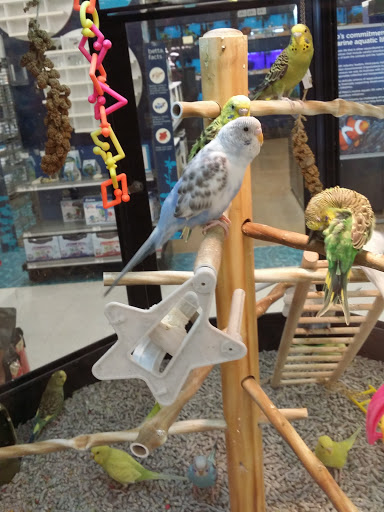 Pet Supply Store «Petco Animal Supplies», reviews and photos, 200 Triangle Shopping Center #230, Longview, WA 98632, USA