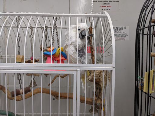 Tropical Fish Store «Midway Tropical Fish & Pets», reviews and photos, 24101 Pacific Hwy S, Kent, WA 98032, USA