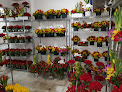 Mejores Tiendas De Flores Artificiales En San Juan Cerca De Ti