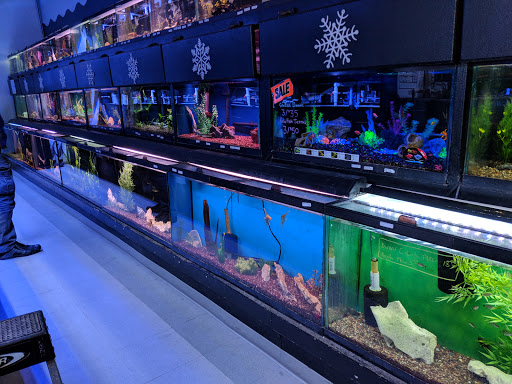 Aquarium «Old Orchard Aquarium», reviews and photos, 9235 Skokie Blvd, Skokie, IL 60077, USA