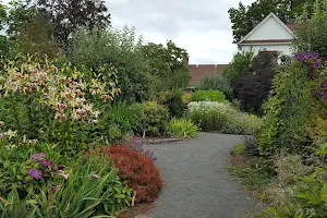 The Rogerson Clematis Garden image