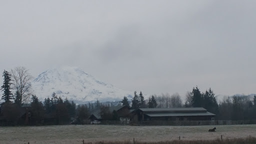 Winery «Rainier View Winery and Nursery», reviews and photos, 12314 264th St E, Graham, WA 98338, USA