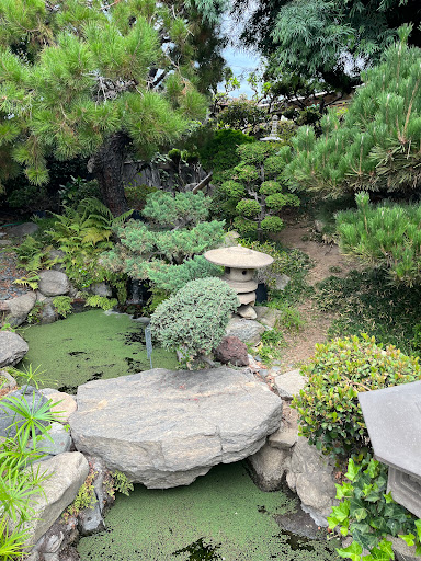 Plant Nursery «San Gabriel Nursery & Florist», reviews and photos, 632 S San Gabriel Blvd, San Gabriel, CA 91776, USA