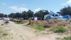 Photo de Zeytinli kamp beach avec un niveau de propreté de très propre