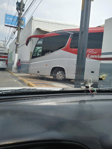Terminal “caminante” toluca autobus