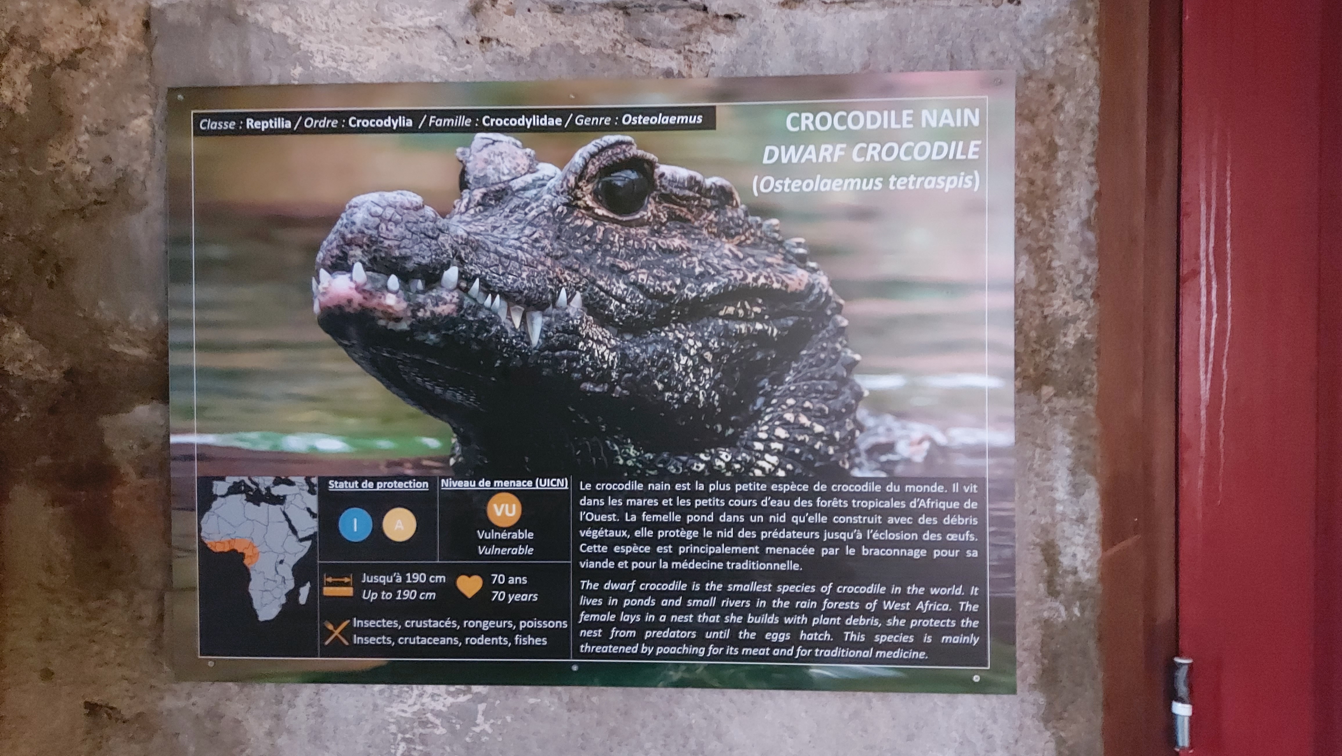 Photo n° 25 de l'avis de Otto.e fait le 10/08/2020 à 22:42