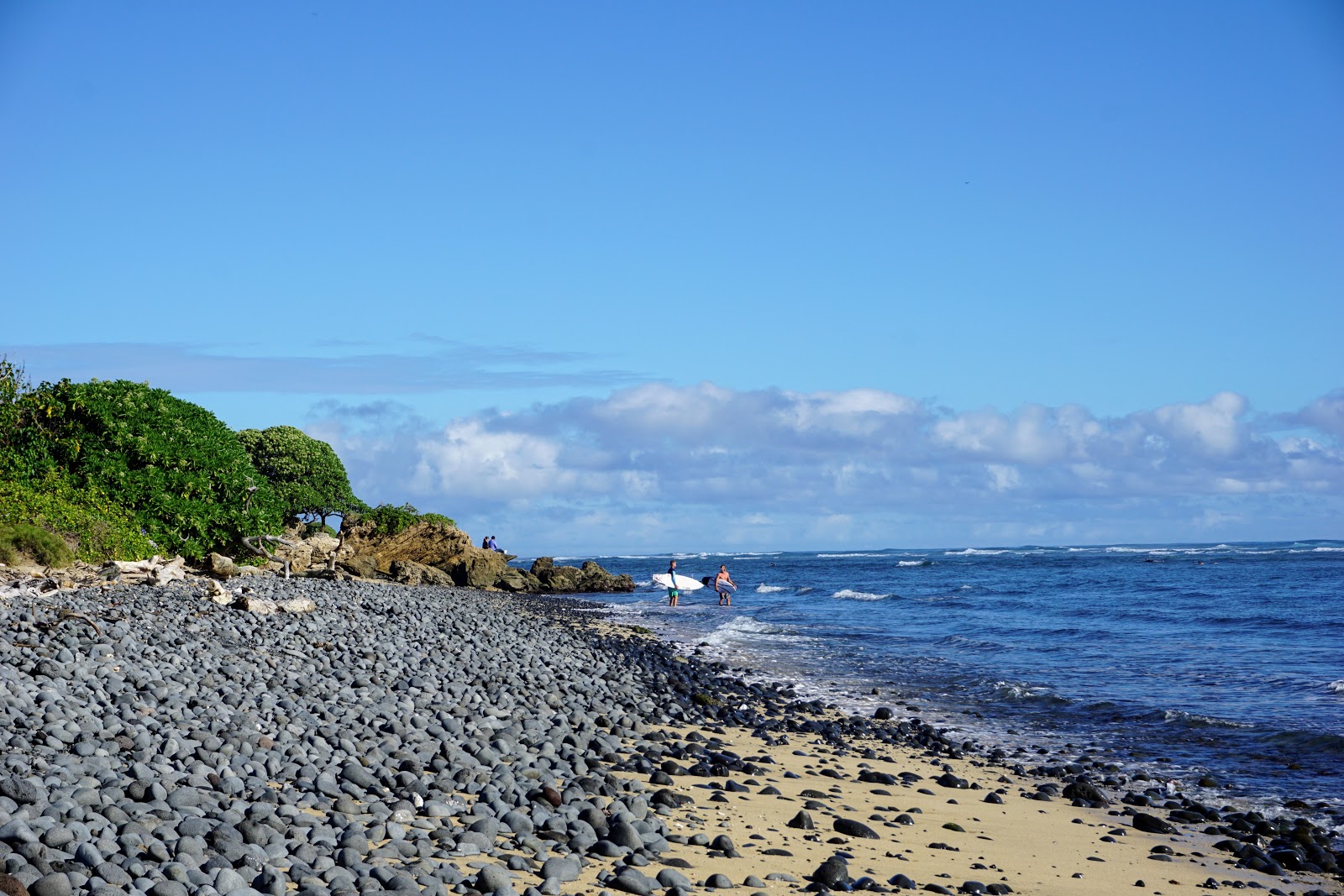 Foto van Waiehu Beach wilde omgeving