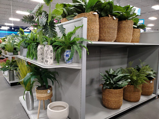 Home Goods Store «At Home», reviews and photos, 5000 S Arizona Mills Cir #313, Tempe, AZ 85282, USA