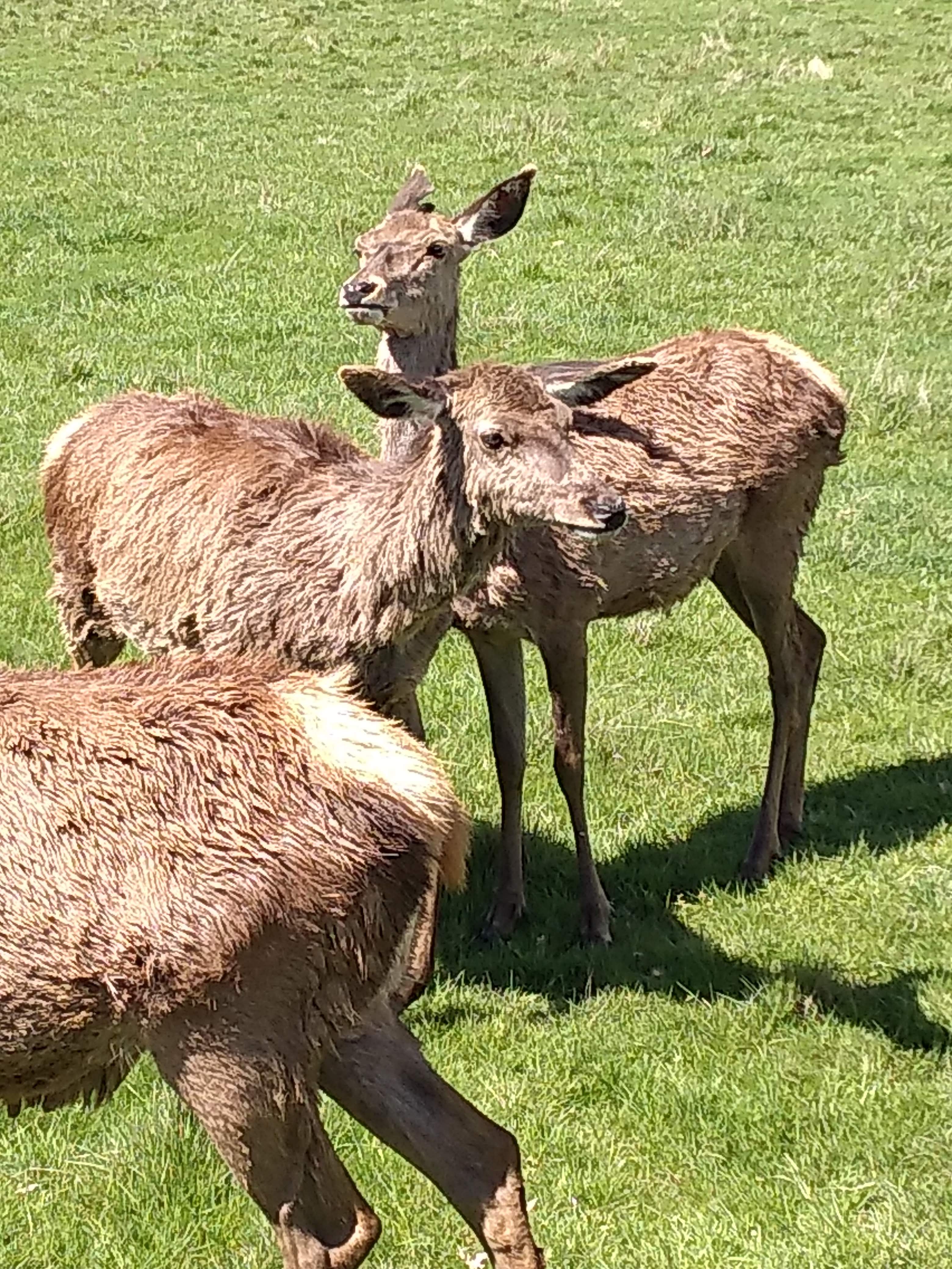 Photo n° 2 de l'avis de L..� fait le 25/04/2019 à 13:14