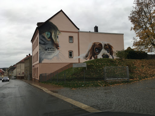 Tierarztpraxis Poenicke unter Waldenburg, 
