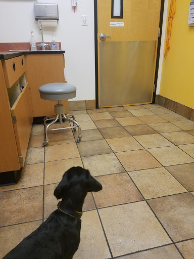 Pet Supply Store «PetSmart», reviews and photos, 637 Woodbury Glassboro Rd, Sewell, NJ 08080, USA