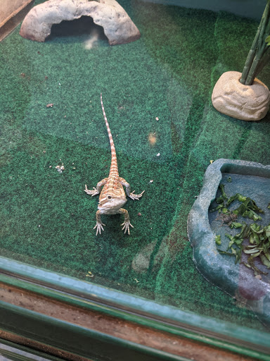 Pet Supply Store «Pet Supplies Plus», reviews and photos, 1262 OH-303, Streetsboro, OH 44241, USA