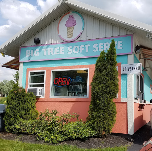Big Tree Soft Serve Ice Cream