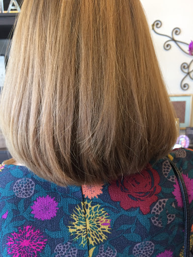 134 Charter Colony Pkwy, Midlothian, VA 23114, USA