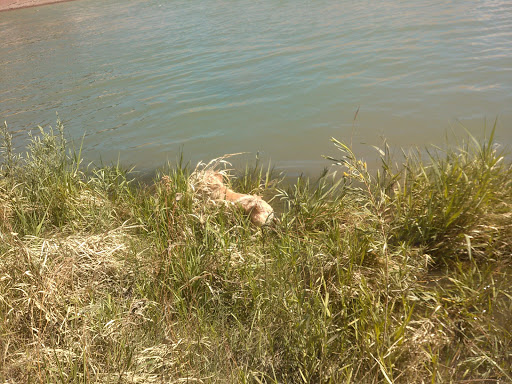 Banquet Hall «Union Depot», reviews and photos, 132 W B St, Pueblo, CO 81003, USA