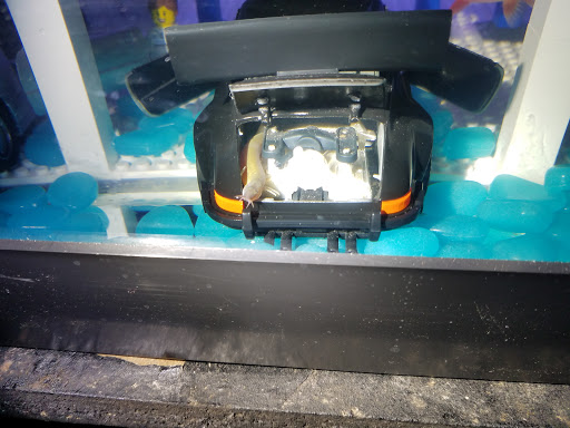 Auto Repair Shop «Pharaoh Auto Repair, LLC», reviews and photos, 5555 Randolph Blvd, San Antonio, TX 78233, USA