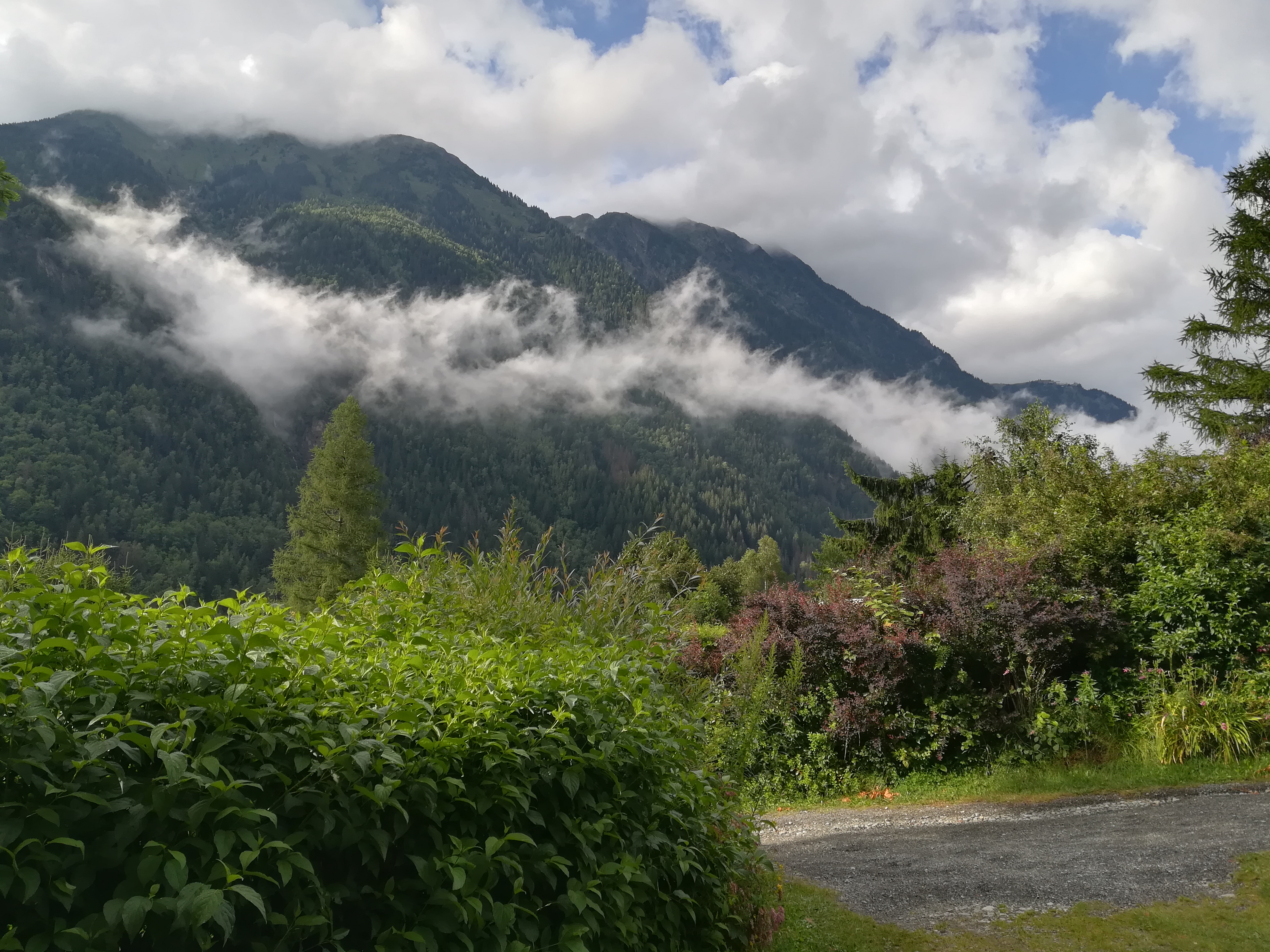 Photo n° 1 de l'avis de Mathieu.H fait le 27/07/2023 à 18:54