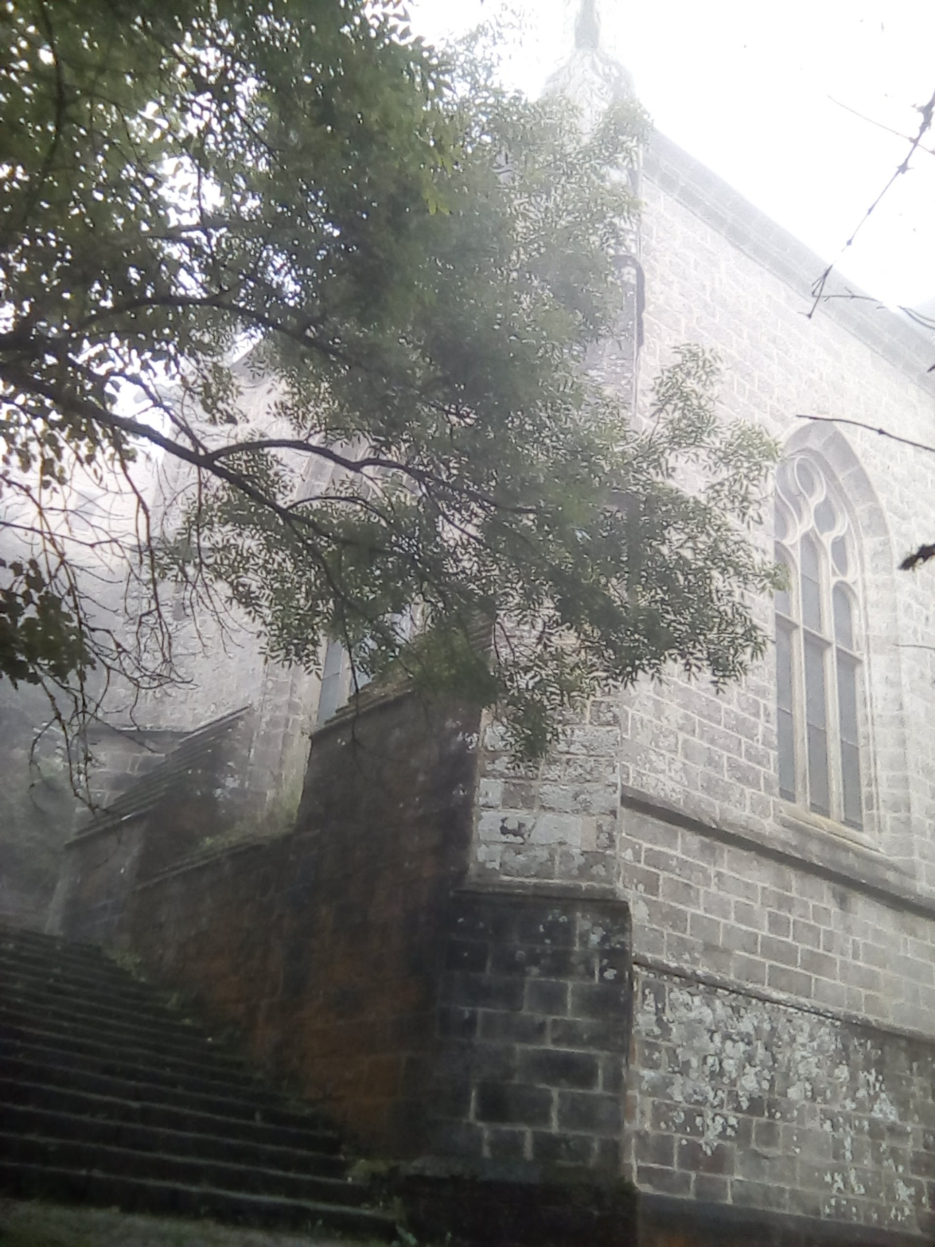 Photo n° 13 de l'avis de Evelyne.a fait le 20/09/2017 à 08:47
