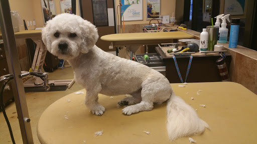 Pet Supply Store «PetSmart», reviews and photos, 6370 W Indiantown Rd, Jupiter, FL 33458, USA