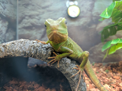 Pet Supply Store «PetSmart», reviews and photos, 3045 Festival Way, Waldorf, MD 20601, USA