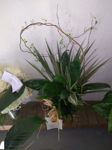 Florist «FLAMINGO FLORIST OF SPRING», reviews and photos, 24307 Aldine Westfield Rd, Spring, TX 77373, USA