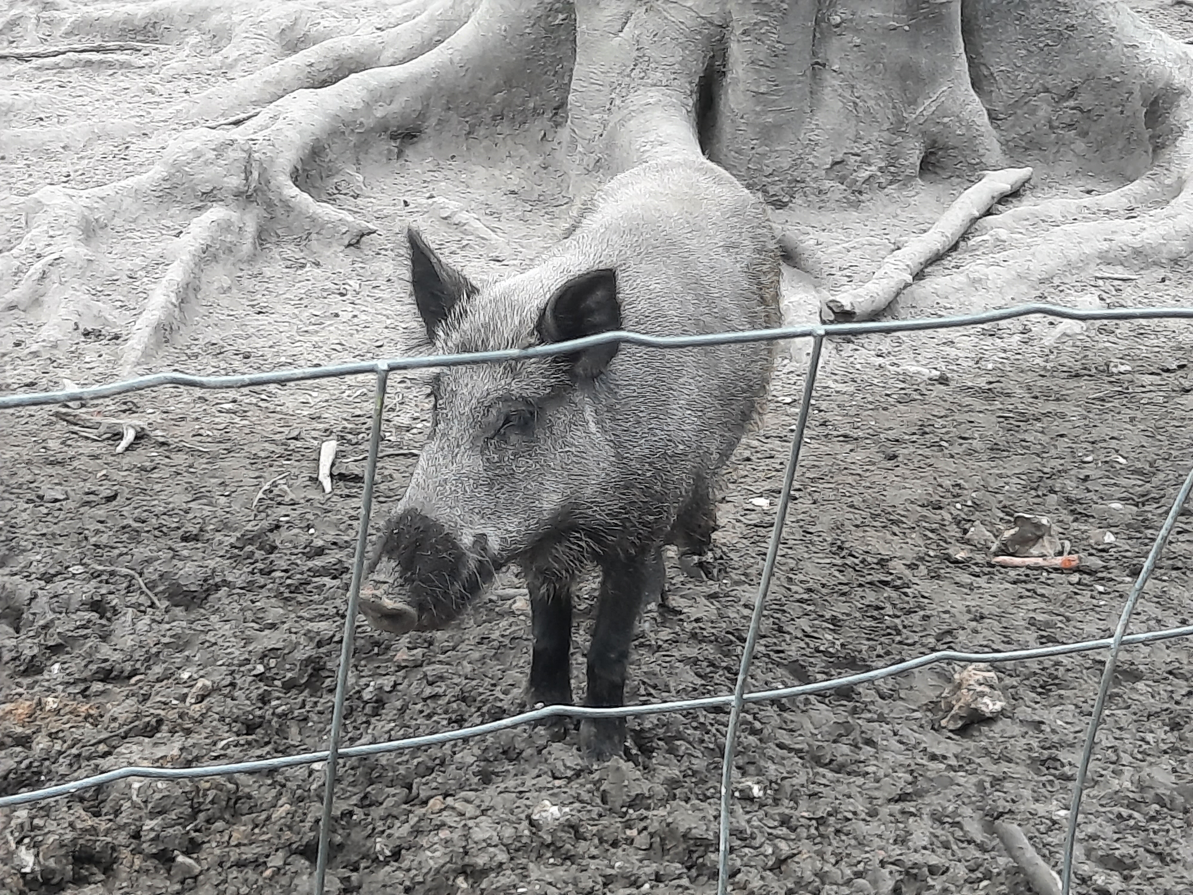 Photo n° 1 de l'avis de Vincent.u fait le 20/08/2021 à 16:29