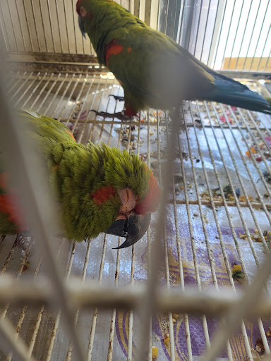 Pet Supply Store «Azteca Pet Shop», reviews and photos, 4431 Whittier Blvd, Los Angeles, CA 90022, USA