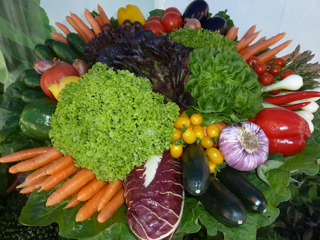 Rezensionen über Gemüse-Gärtnerei Wettstein in Frauenfeld - Supermarkt