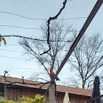 Photo n°3 de l'avis de Déborah.a fait le 18/12/2022 à 20:43 sur le  Soundwich à Porto