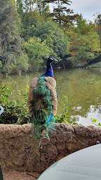 Photo n°35 de La Buvette Du Lac à Marseille ()